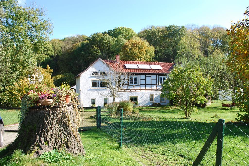 Ferienwohnung Obermuehle Ballstadt Phòng bức ảnh